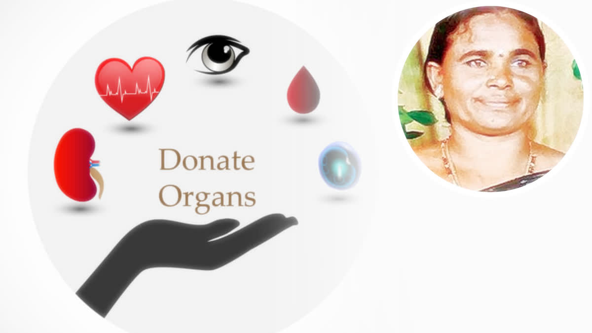 Atchutapuram Woman Organ Donation