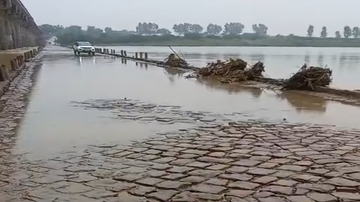 Parvati River Water Level