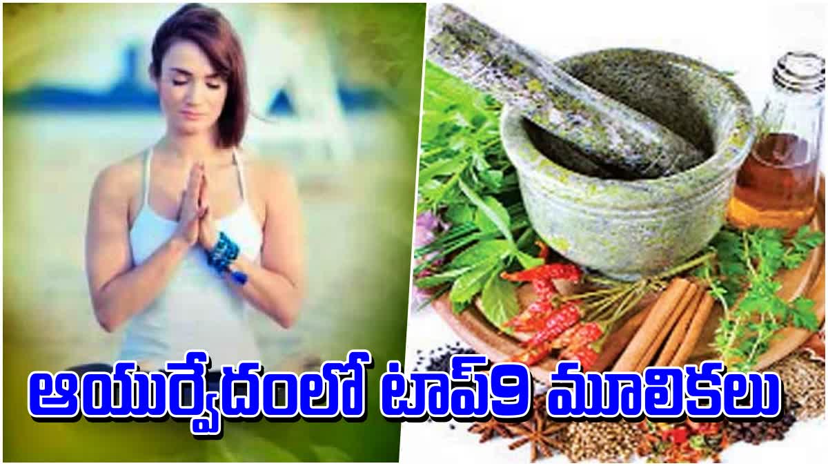 top_9_herbs_in_ayurvedic_medicine