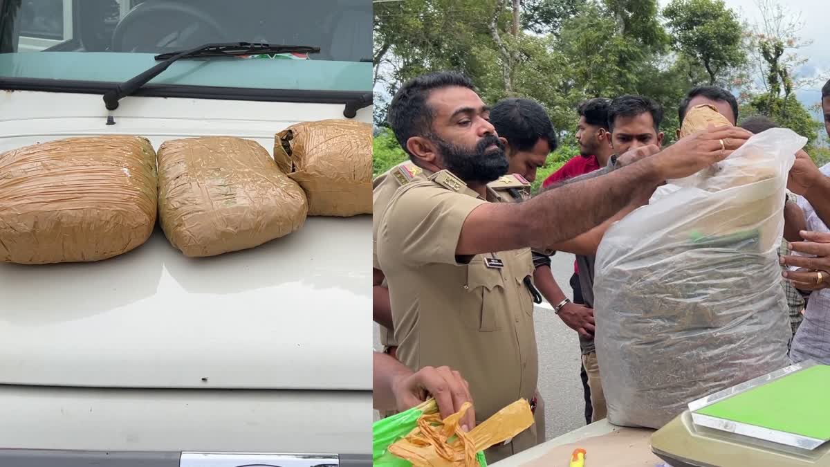 DRUG ARREST IN IDUKKI  MEN ARRESTED WITH 10 KG GANJA  കഞ്ചാവുമായി രണ്ട് പേർ പിടിയിൽ  LATEST NEWS IN MALAYALAM