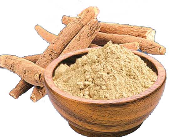 top_9_herbs_in_ayurvedic_medicine