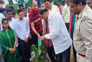 Plantation campaign started in Bagodar of Giridih