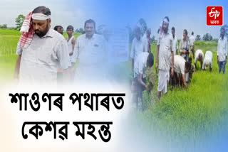 Keshab Mahanta distributes thorns among farmers in the field in Kaliabar