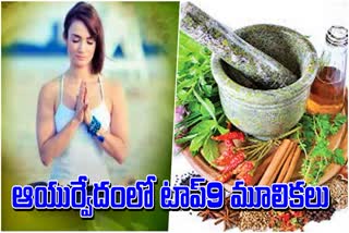 top_9_herbs_in_ayurvedic_medicine