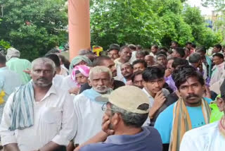 Paddy Seeds Available to Farmers