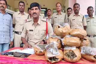 Police Arrested Ganja Selling Gang Anantapur District