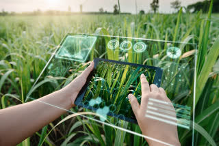The government is giving information about digital agriculture to farmers