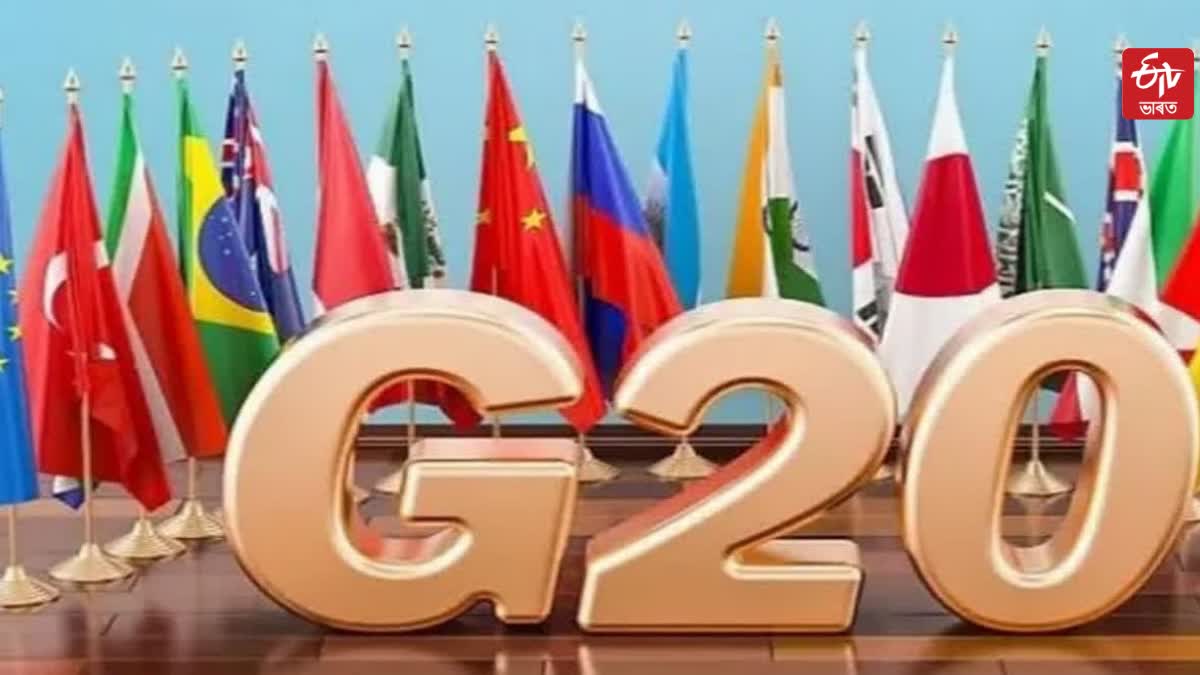 G 20 summit