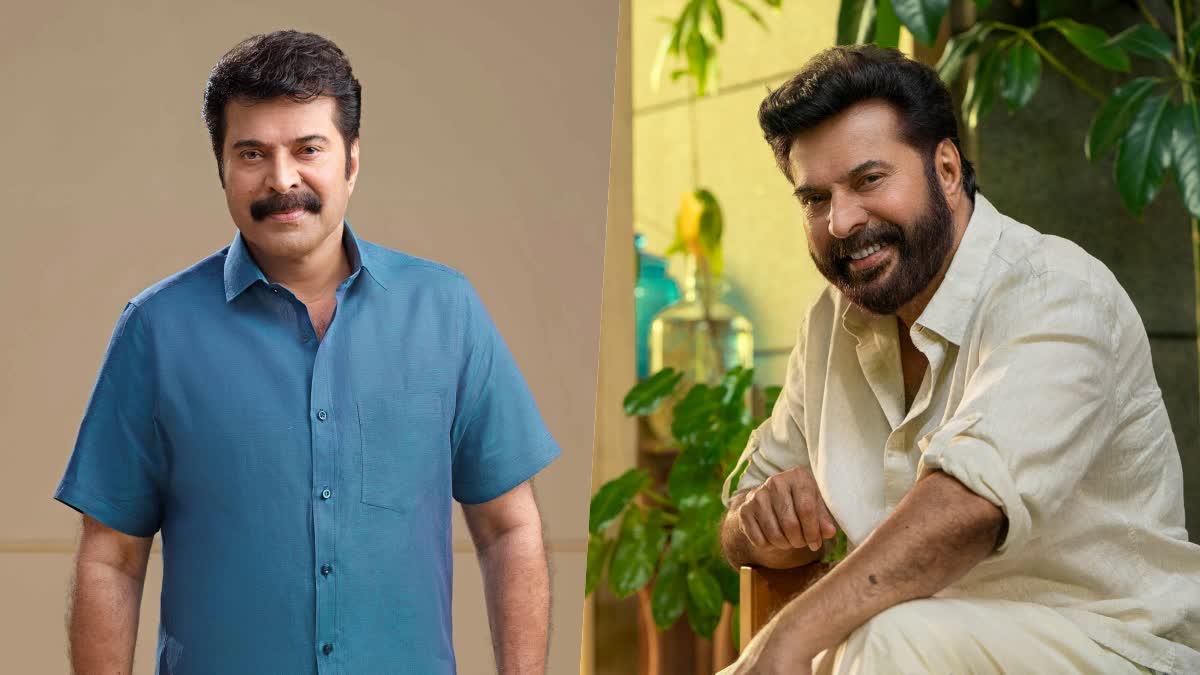 Mammootty Birthday Special  five best Megastar movies must watch before die  Megastar movies must watch before die  Megastar movies must watch  Megastar movies  ഒരു വടക്കന്‍ വീരഗാഥ  നന്‍പകല്‍ നേരത്ത് മയക്കം വരെ  5 മെഗാസ്‌റ്റാര്‍ ചിത്രങ്ങള്‍  5 Mammootty movies must watch before die  Mammootty Birthday  മമ്മൂട്ടിയുടെ ഈ ജന്മദിനത്തില്‍  മമ്മൂട്ടി  മമ്മൂക്ക  മമ്മൂട്ടിയുടെ ജന്മദിനം  Mammootty  Mammootty best movies  Megastar  Megastar movies  പിറന്നാള്‍ നിറവില്‍ മെഗാസ്‌റ്റാര്‍ മമ്മൂട്ടി  മലയാളികളുടെ മമ്മൂക്ക  പ്രേക്ഷകരെ വിസ്‌മയിച്ച അതുല്യ പ്രതിഭ  തൃഷ്‌ണയിലൂടെ നായകനായി അരങ്ങേറ്റം  കണ്ടിരിക്കേണ്ട മമ്മൂട്ടി ചിത്രങ്ങള്‍  ന്യൂ ഡെല്‍ഹി  ഒരു സിബിഐ ഡയറിക്കുറിപ്പ്  ഒരു വടക്കൻ വീരഗാഥ  വിധേയൻ  നൻപകൽ നേരത്ത് മയക്കം