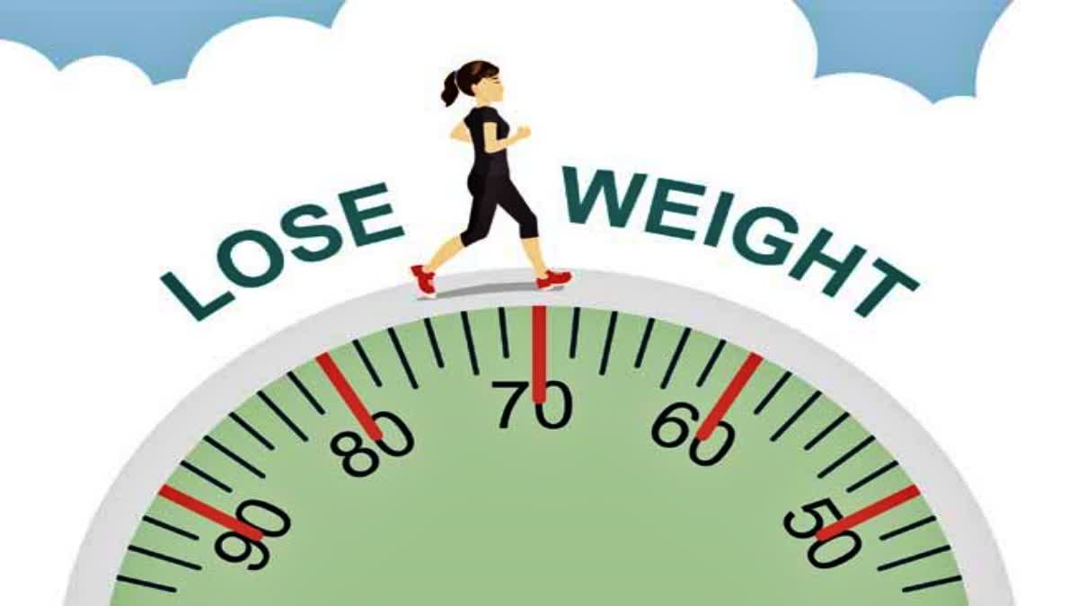 lose weight