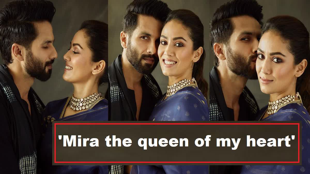 Mira Rajput Kapoor birthday