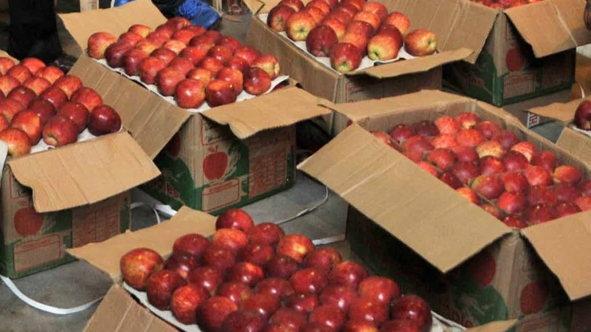 The low yield of apples in Himachal Pradesh this year due to the onslaught of weather; has forced Adani Agrofresh to procure the produce from the open markets.
