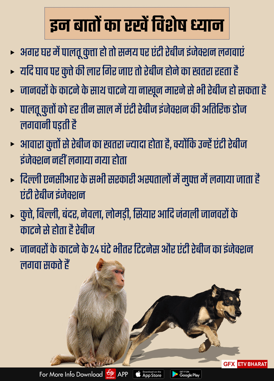 measures to avoid rabies