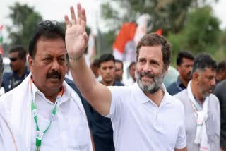 Rahul comments on one year of Bharat Jodo Yatra