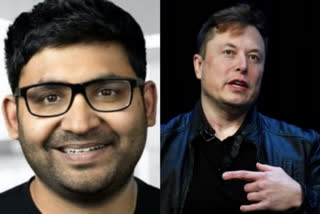 Agarwal was not a fire-breathing dragon said by musk
