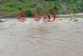 Children Going to School Crossing the Canal