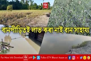 Flood victims have not received flood relief in jonai