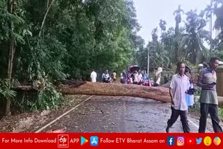 Storm ravages Dhansiri sub-division