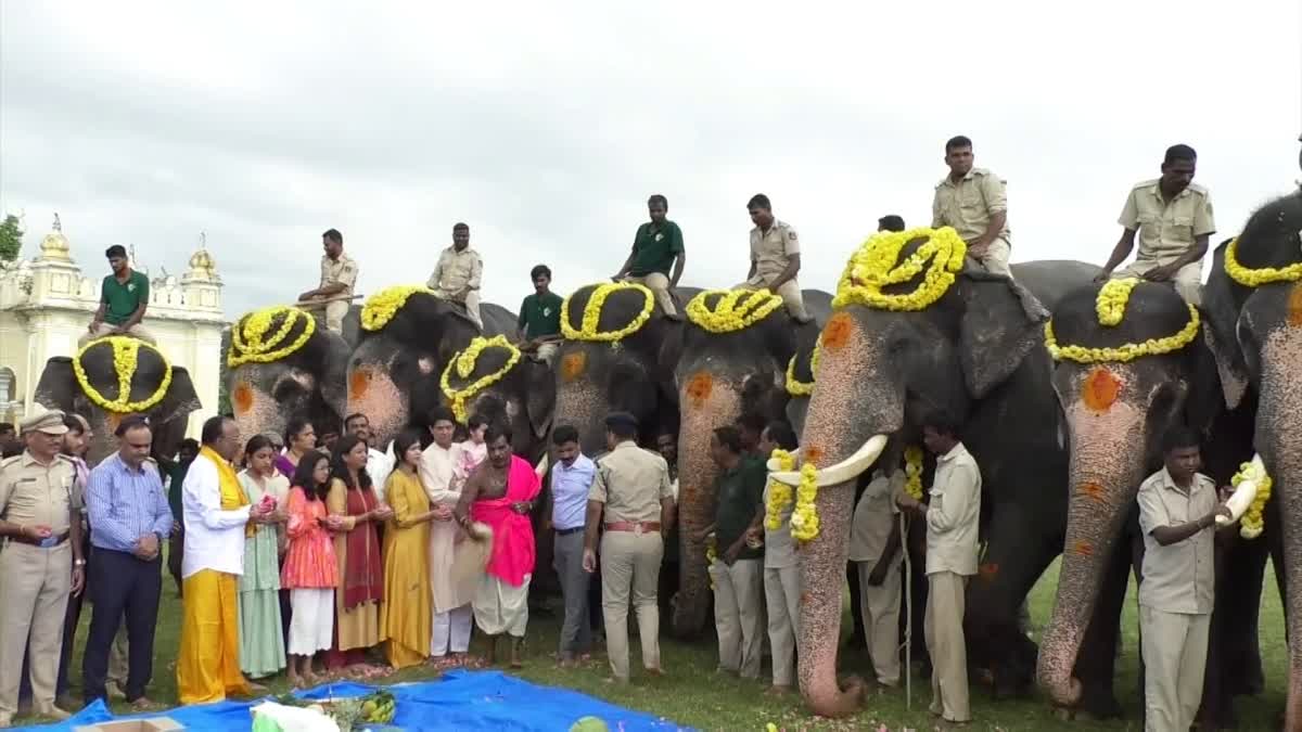 Ganesh Chaturthi celebrated at Mysuru Palace: Traditional worship of Elephant