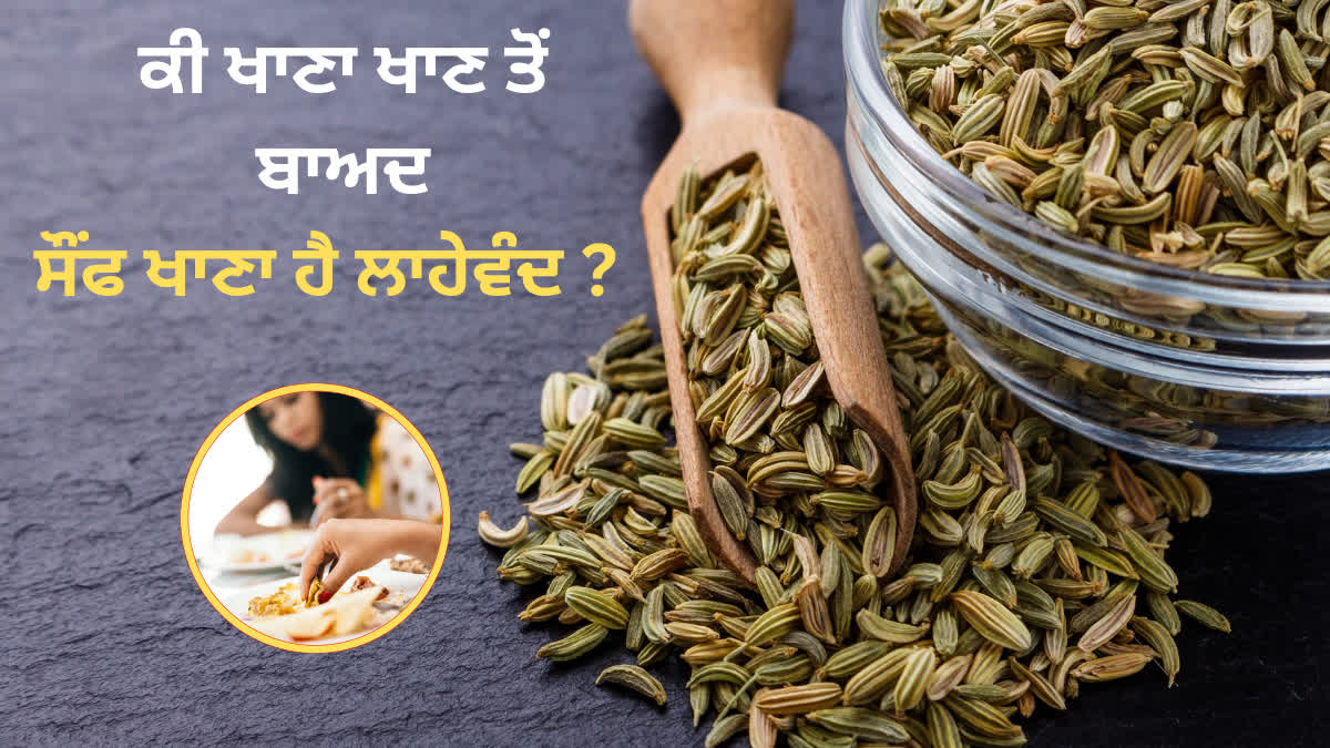 How safe is it to eat fennel after meals? Benefits of Fennel and Fennel Seeds