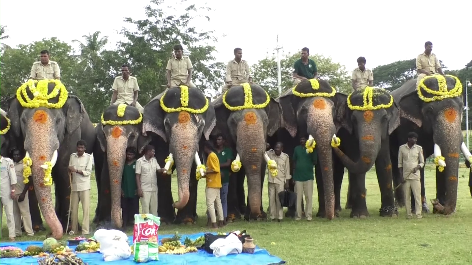 worship-of-elephant