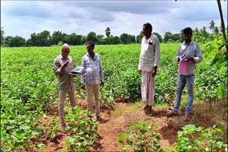 Farmer Land Documents Issue