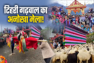 Sheep Fair at Someshwar Mahadev Temple