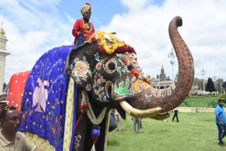 ಮೈಸೂರು ಅರಮನೆಗೆ ಆಗಮಿಸಿದ ಗಜಪಡೆಗೆ ಸ್ವಾಗತ