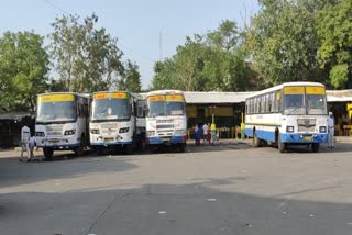 Rajasthan Roadways Buses