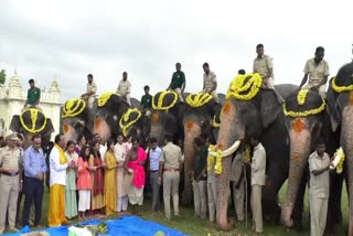 Ganesh Chaturthi celebrated at Mysuru Palace: Traditional worship of Elephant