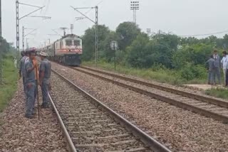 Cows die after being hit by Shatabdi train in Sonipat of Haryana