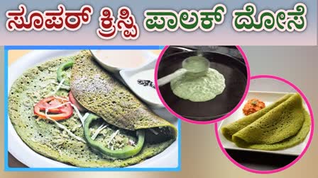 INSTANT PALAK DOSA RECIPE  HOW TO MAKE PALAK DOSA  INSTANT PALAK DOSA IN Kannada  MAKE PALAK DOSA RECIPE