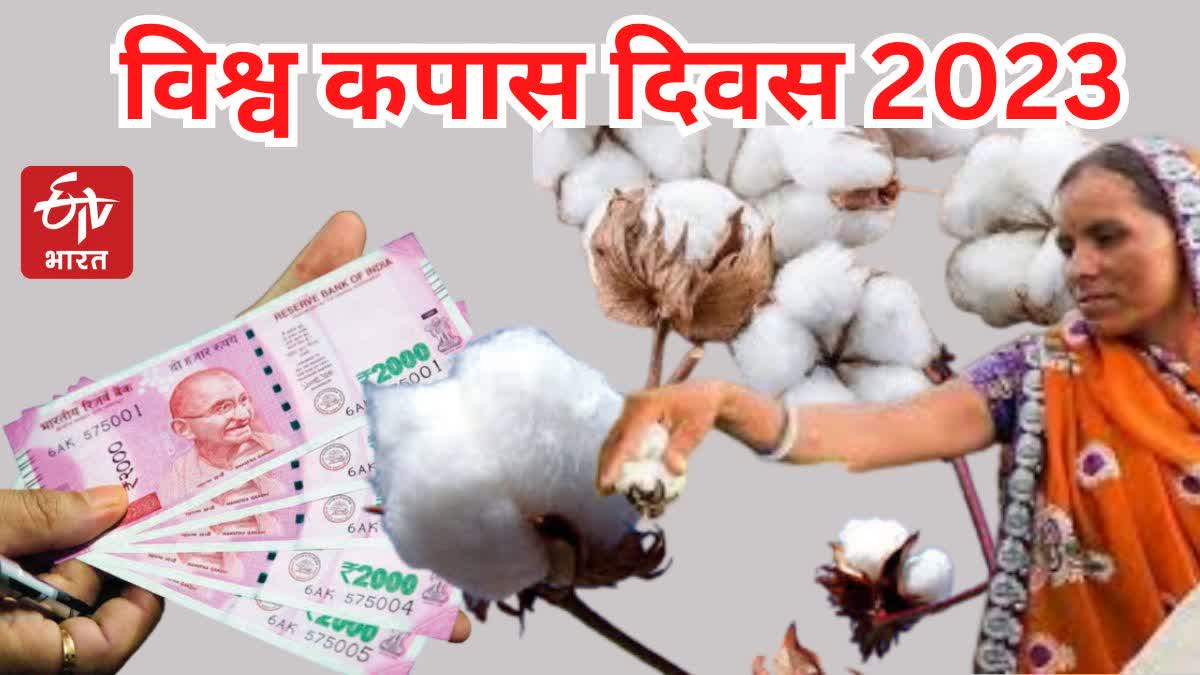 World Cotton Day 2023