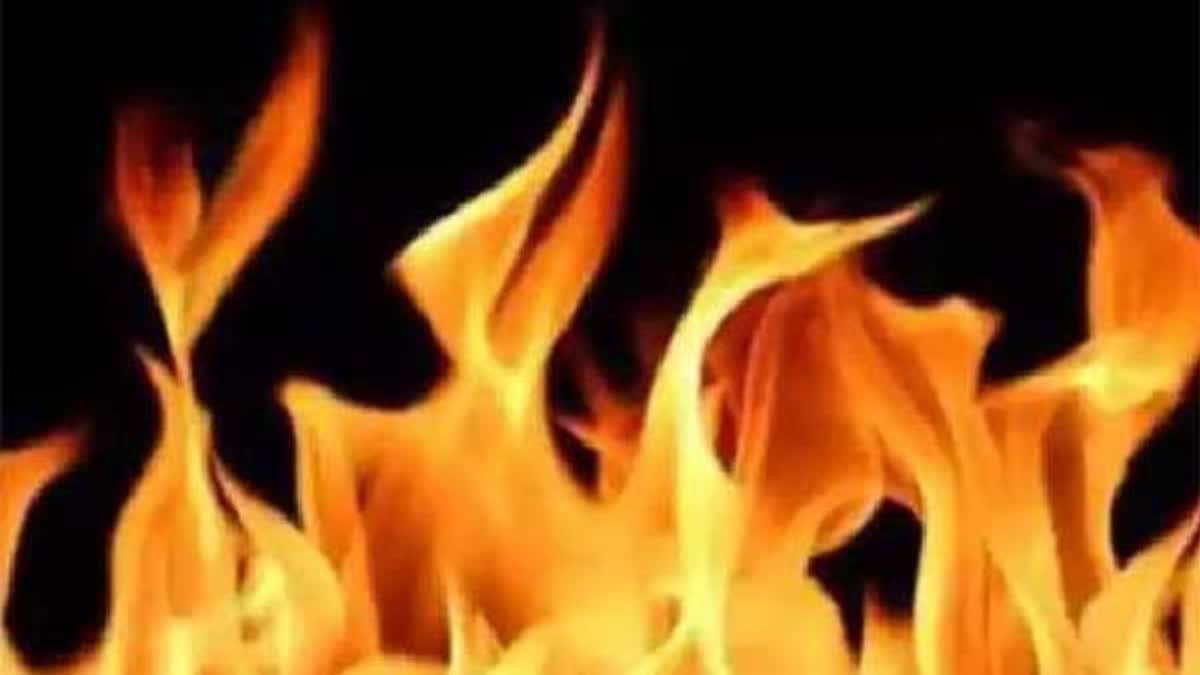 Madhya Pradesh  Fire Breaks Out At Oil Factory  Oil Factory fire accident  fire accident  Gwalior Fire Accident  എണ്ണ ഫാക്‌ടറിയിൽ വൻ തീപിടിത്തം  തീപിടിത്തം  മധ്യപ്രദേശിൽ തീപിടിത്തം  ഗ്വാളിയോറിൽ തീപിടിത്തം