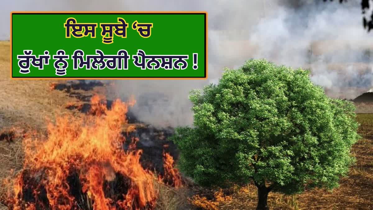 Haryana Tree Pension Scheme, Pran Vayu Devta Pension Scheme