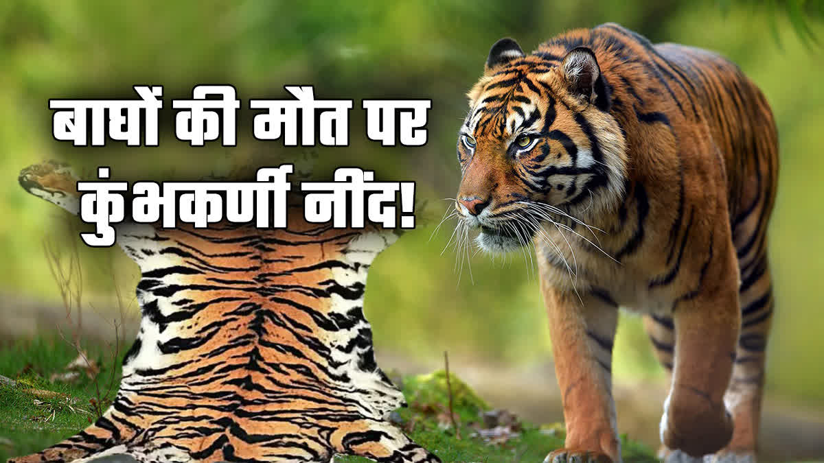 Tiger death cases in Uttarakhand