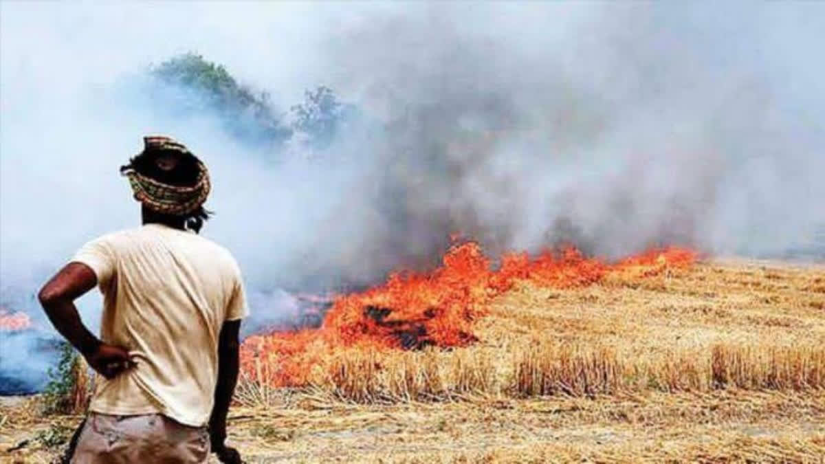 A farmer along with ten others was booked for creating a ruckus and preventing revenue officials from discharging their duty at a village in Mathura district of Uttar Pradesh on Saturday. Following the receipt of information about the stubble burning, a team of revenue officials went to Anch village in the Kosikala police station area of the district to ascertain the incident.