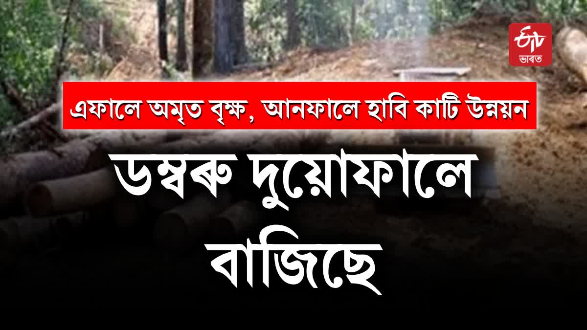 Forest Land Conversion Assam