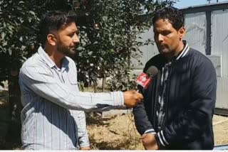 Apple Industry in Kashmir