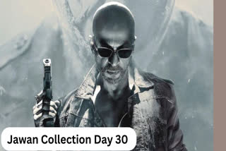 Jawan Collection day 30