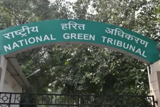 NGT sets aside order granting authorisation to biomedical waste treatment unit in UP