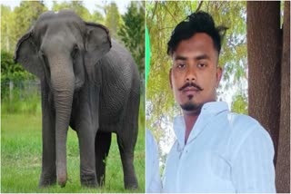 Mawati died in elephant attack in Nehru zoo park