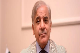 Nawaz Sharif was ousted from power three times by one conspiracy or another: Shehbaz Sharif