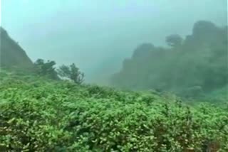 Chikmagalur Climate