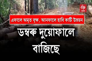 Forest Land Conversion Assam