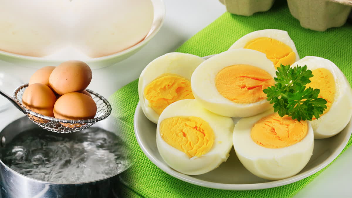 What Happens to Your Body Daily Eat Boiled Eggs