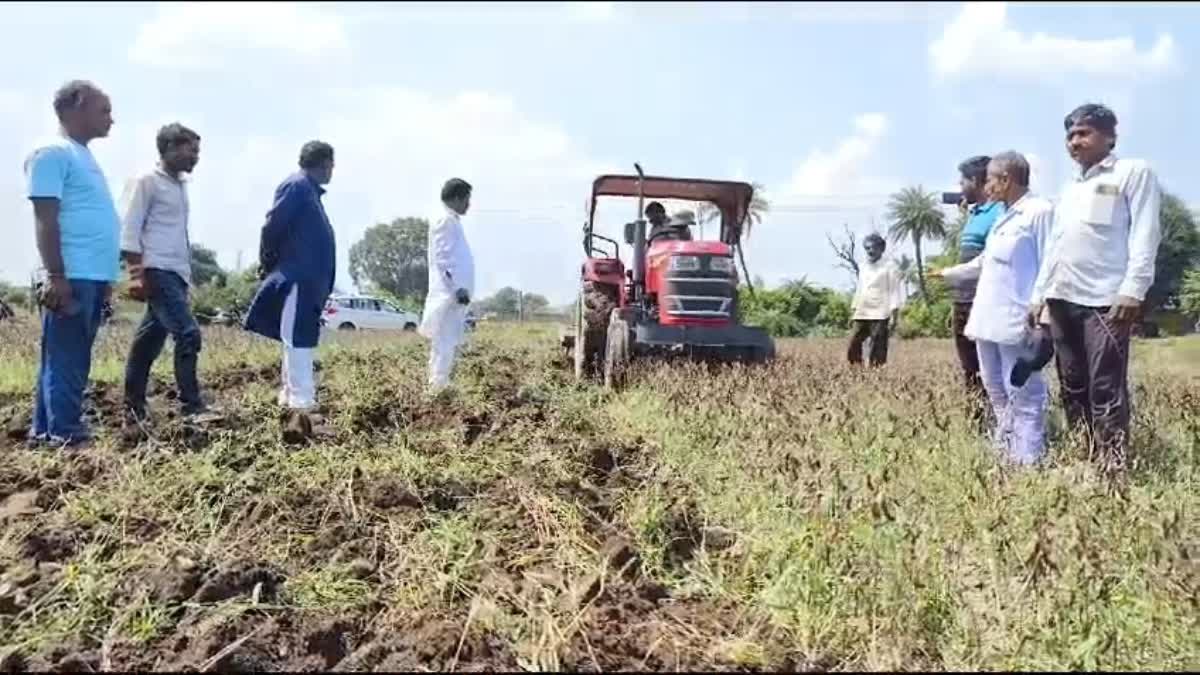 RATLAM SOYBEAN PRODUCTION AFFECTED