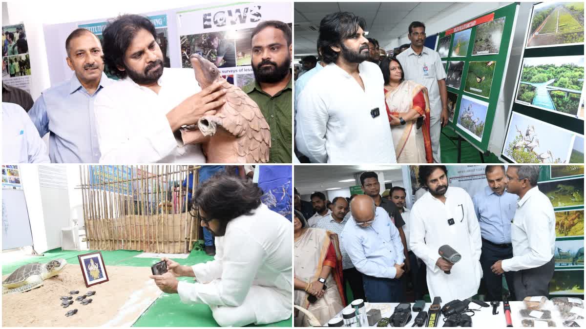 Pawan_Kalyan_in_Wildlife_Program