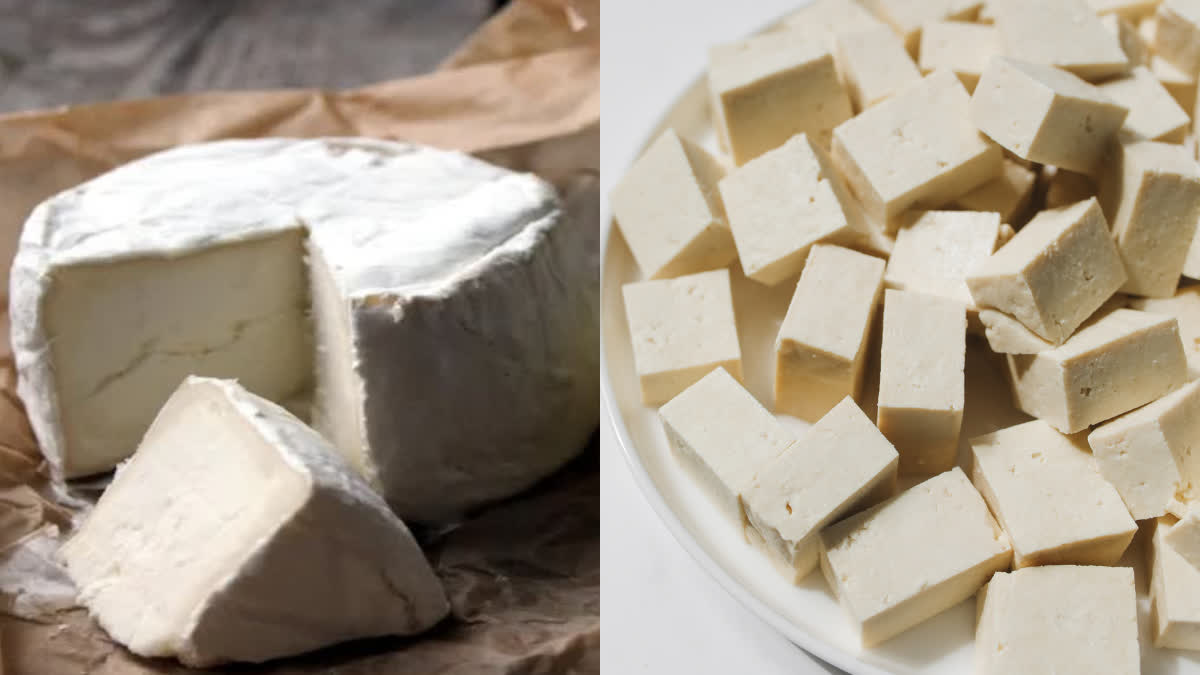 There is a flood of synthetic paneer in the market