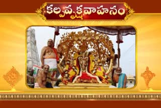 Tirumala KalpaVruksha Vahana Seva Live